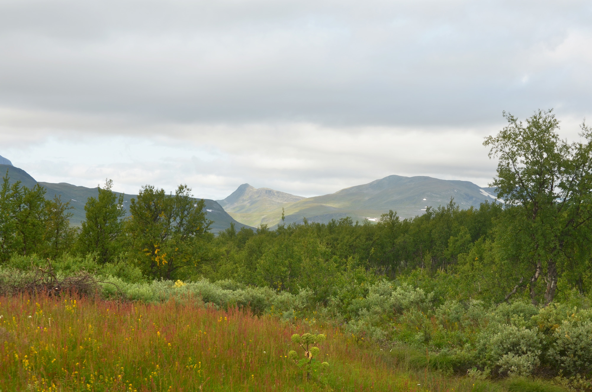 Ammarnäs fjäll