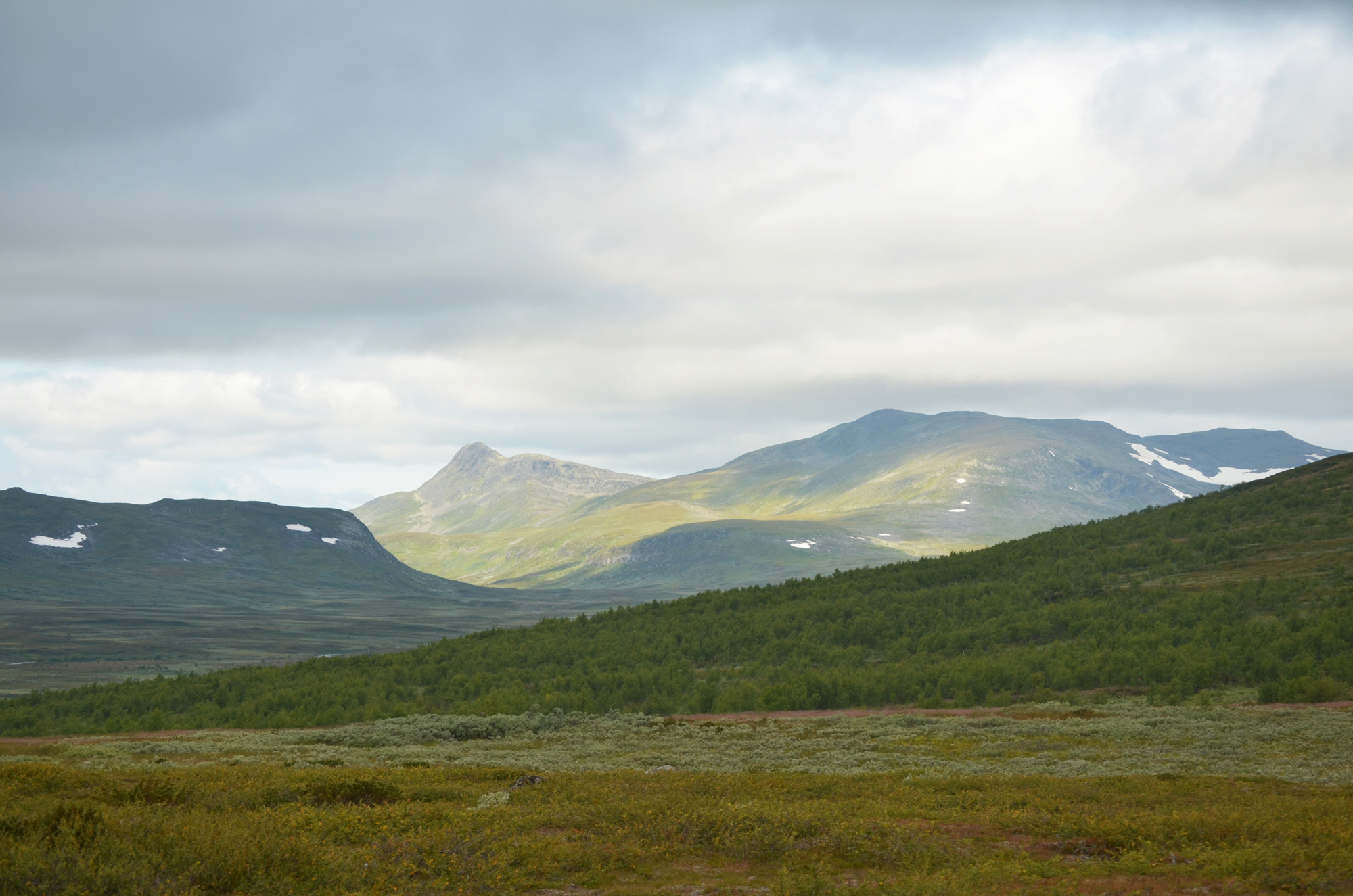 Ammarnäs Fjällsiluett