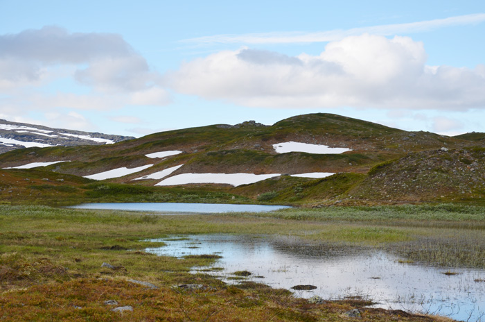 Fjällvandring