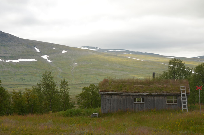 Fjällvandring Ammarnäs