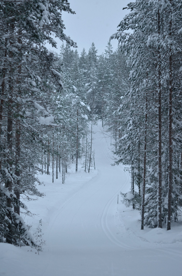 Skidspår