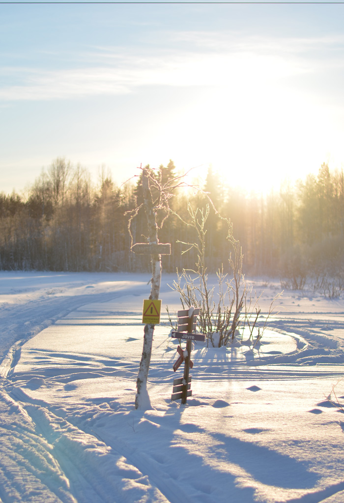 skoterspår vårvinter