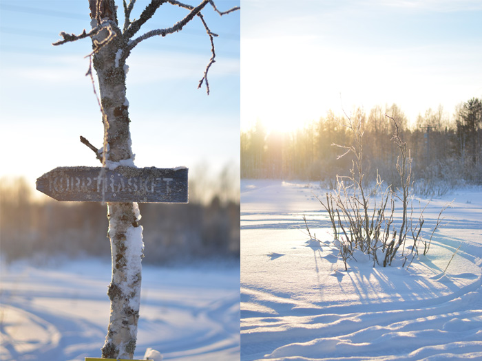 Vårvinter solsken