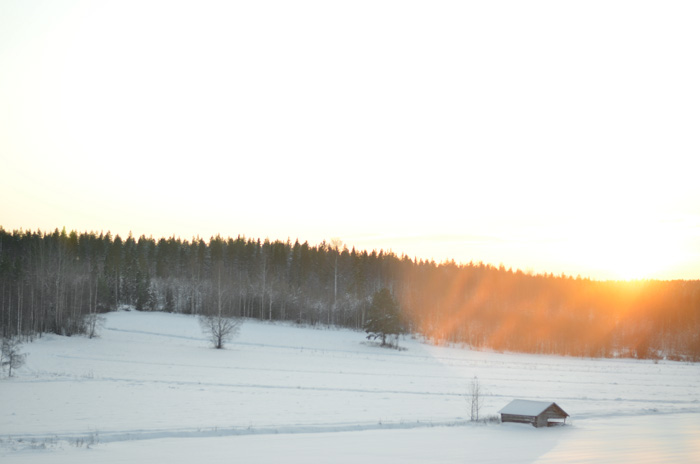 Vintervärld