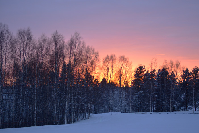 solnedgång