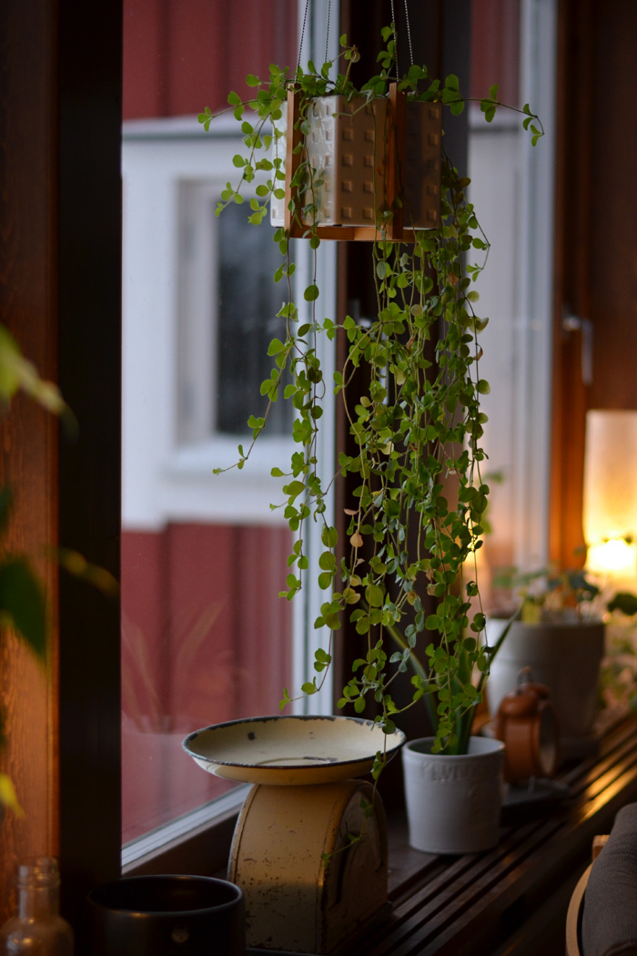 krukväxter vardagsrum