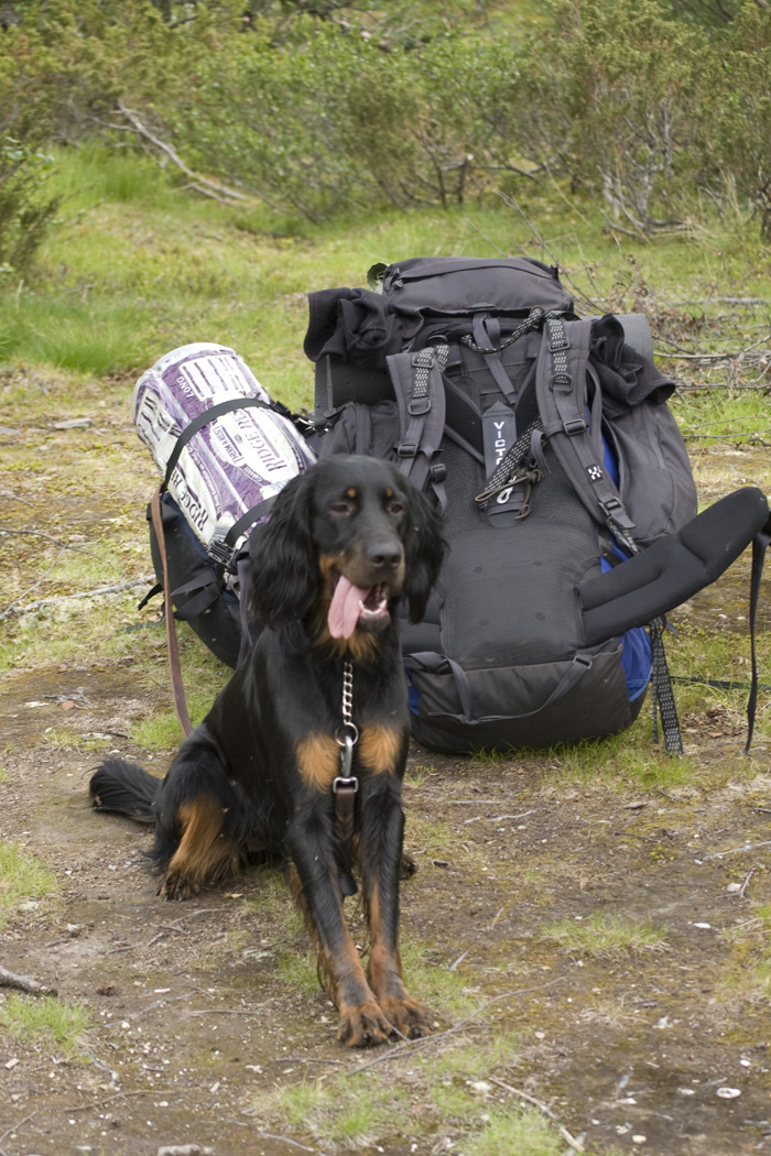 packning fjällvandring