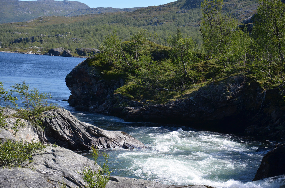 Fors i fjällen