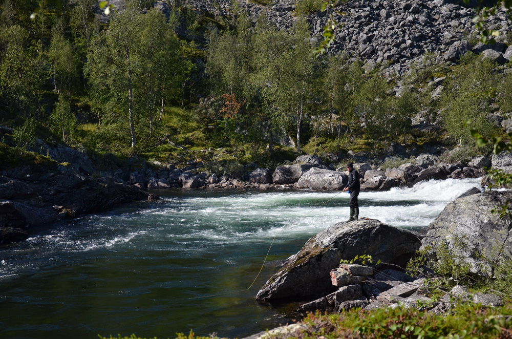 Tre nätter i Miekak – En rapport från fjällresan – HojnaSandra