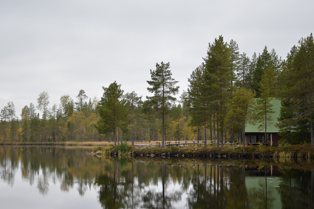 stuga vid fiskesjö