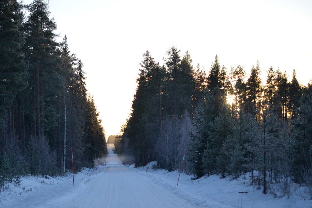 solnedgång