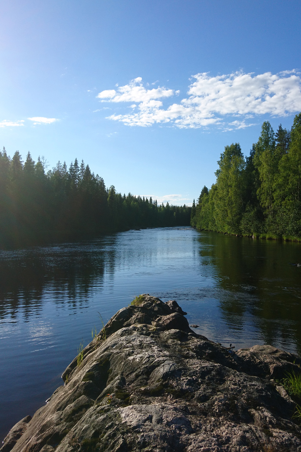 fiskekväll