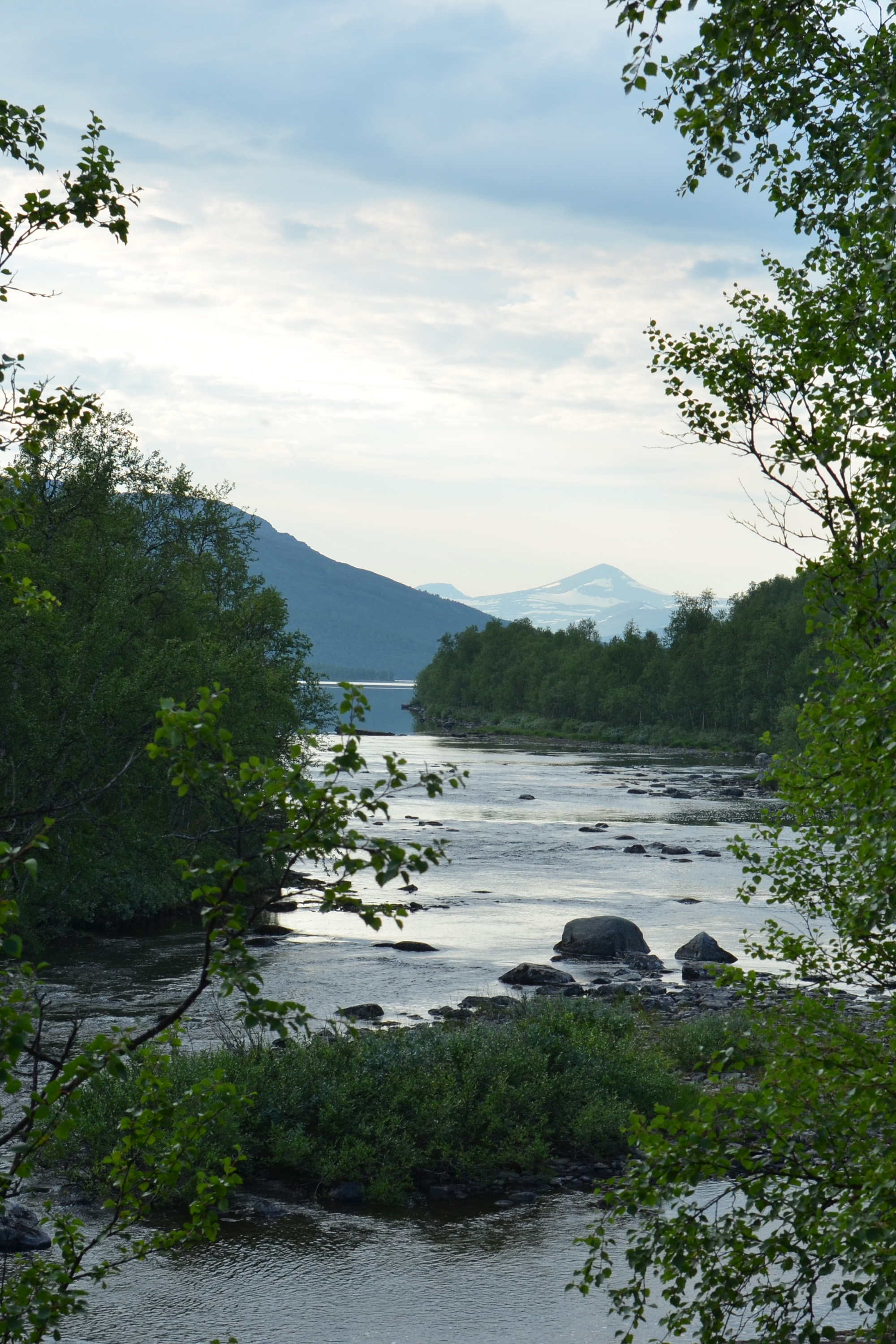 Fjällbäck