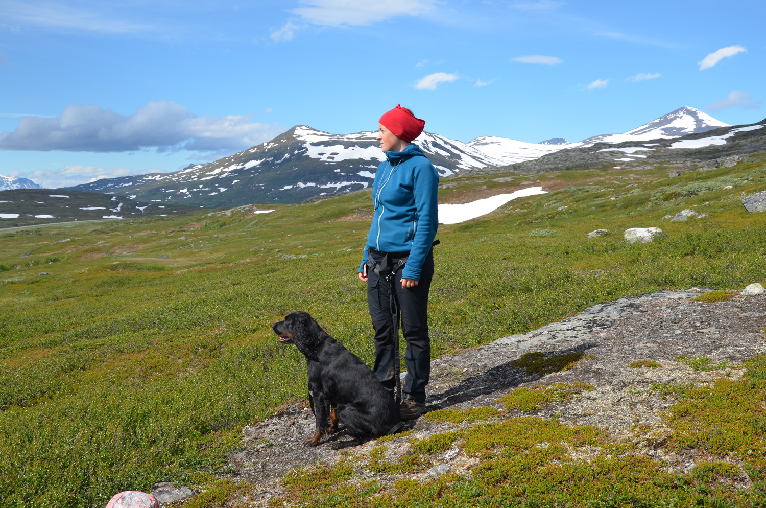 fjäll med hund