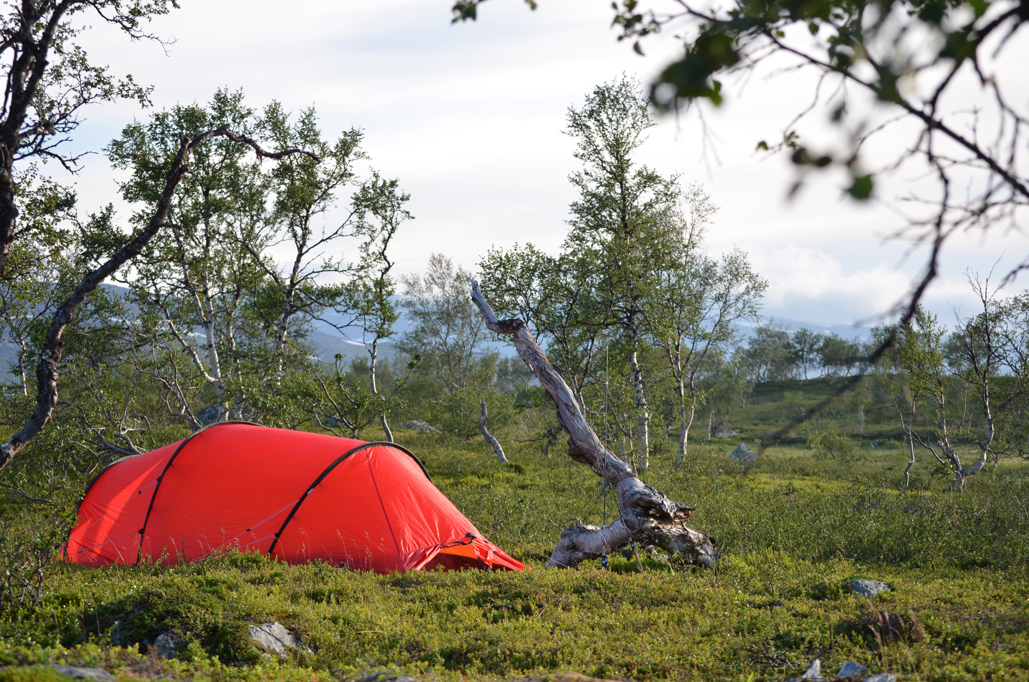 Fjällvandra tält