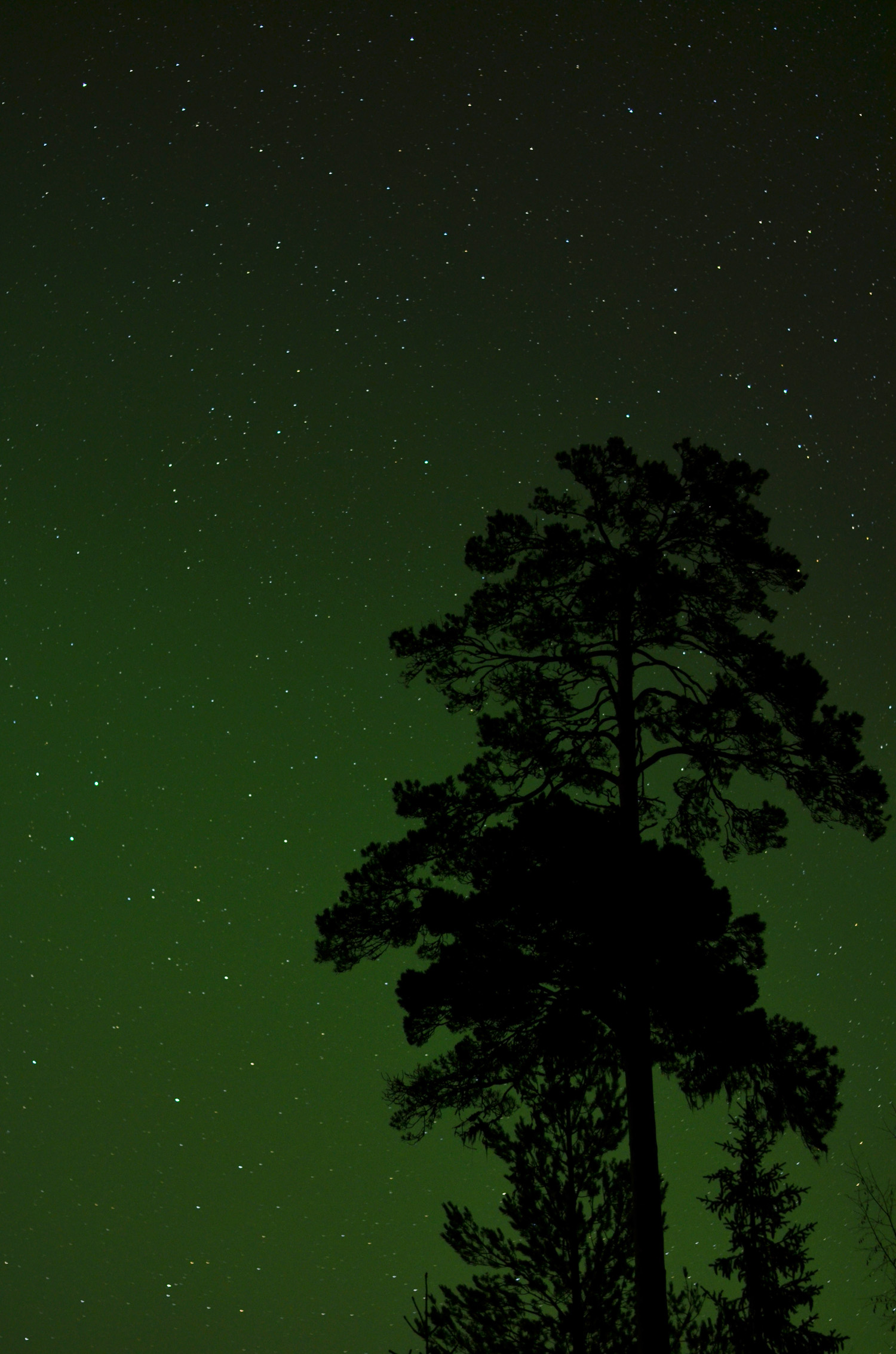 Stjärnhimmel 