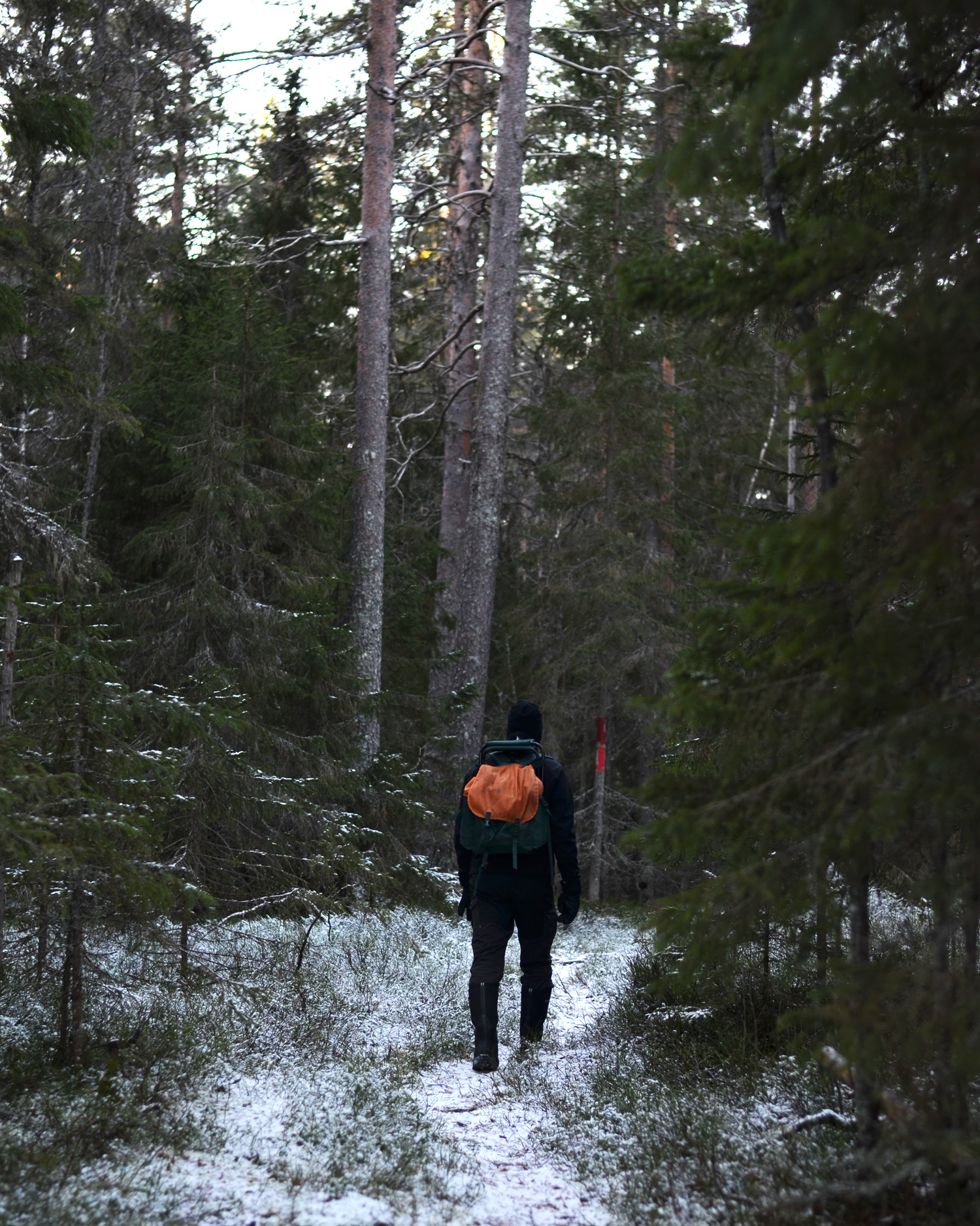 vandringsled